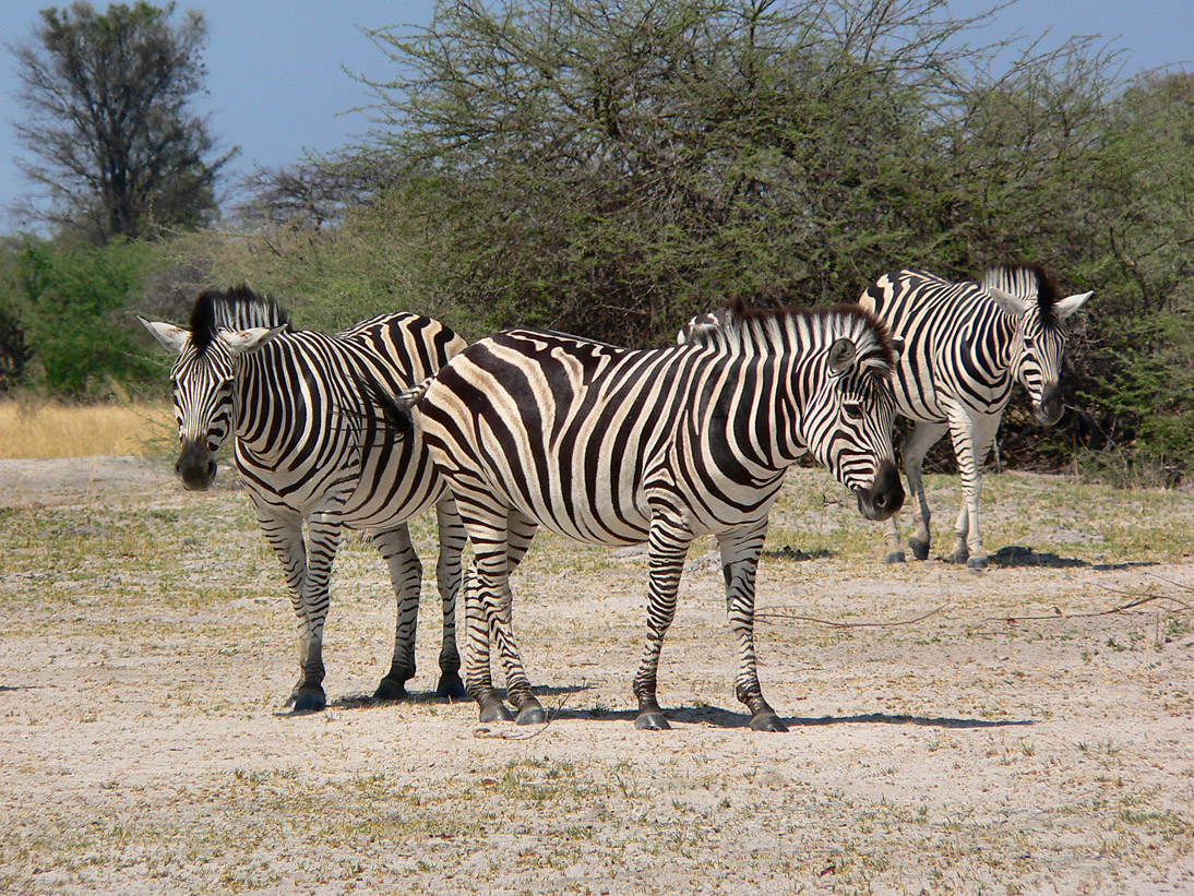 1153_Botswana_20071004-101322_P1080769