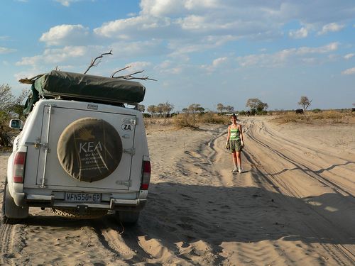 1120_Botswana_20071001-165432_P1080485.jpg