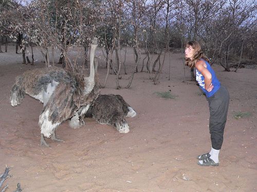 1176_Botswana_20071007-184246_P1080873.jpg