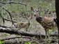 1235_20101112_153022_Indien2010_DSC03446