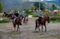1075_Kolumbien_2016_10_31_113623_Viventura_DSC04757