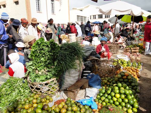 1191_20120504_092304_Madagaskar_DSC06849.jpg