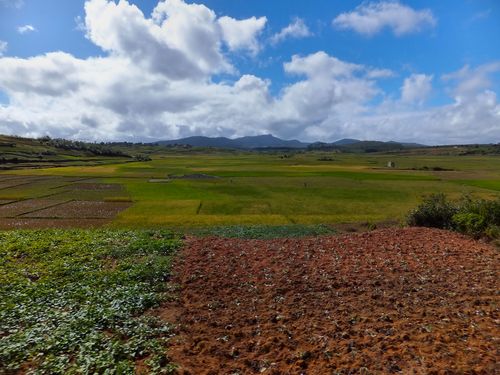 1232_20120505_094012_Madagaskar_DSCF0602.jpg