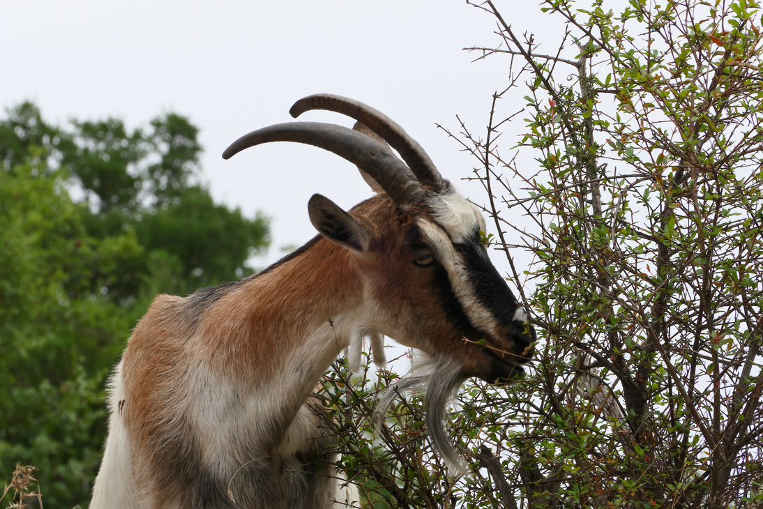 1200_Montenegro_20251001_124918_P1034143