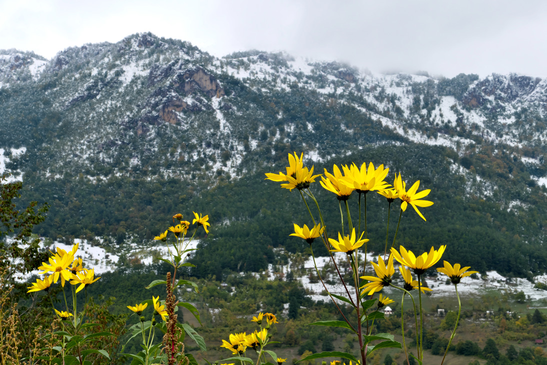 1384_Montenegro_20251004_123433_P1034242