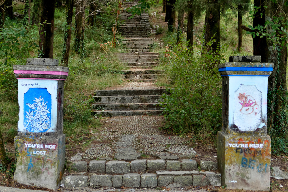 1600_Montenegro_20251007_145036_P1034422