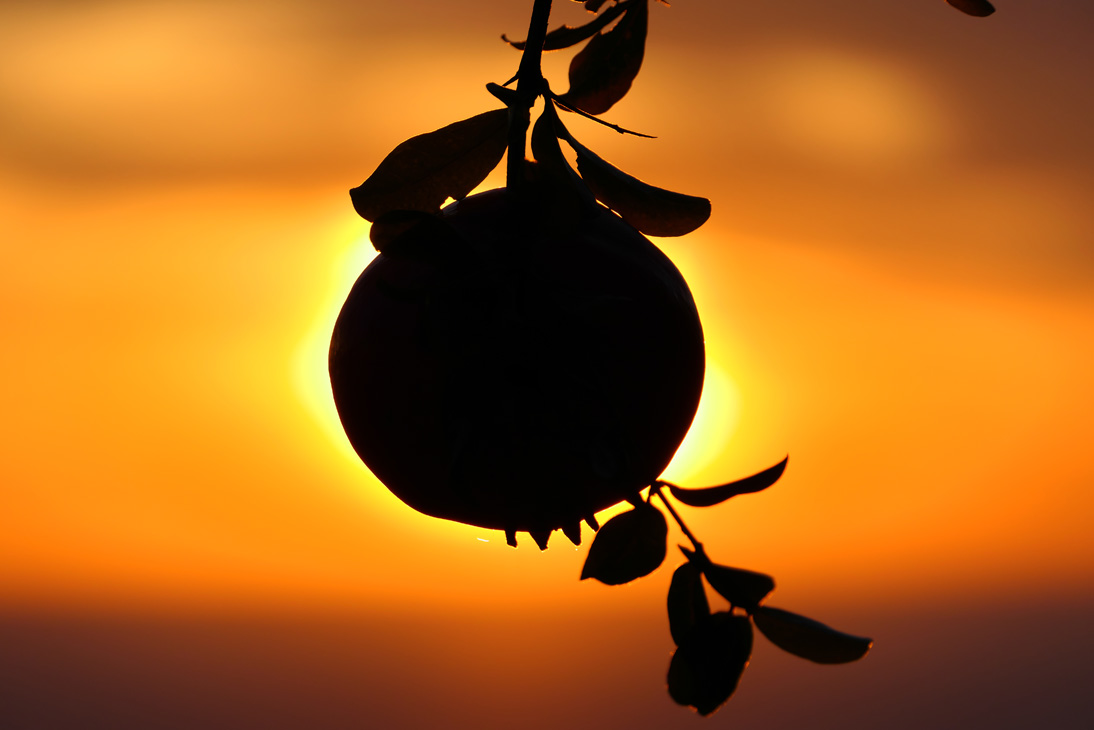 2012_Montenegro_20251011_180300_P1034879