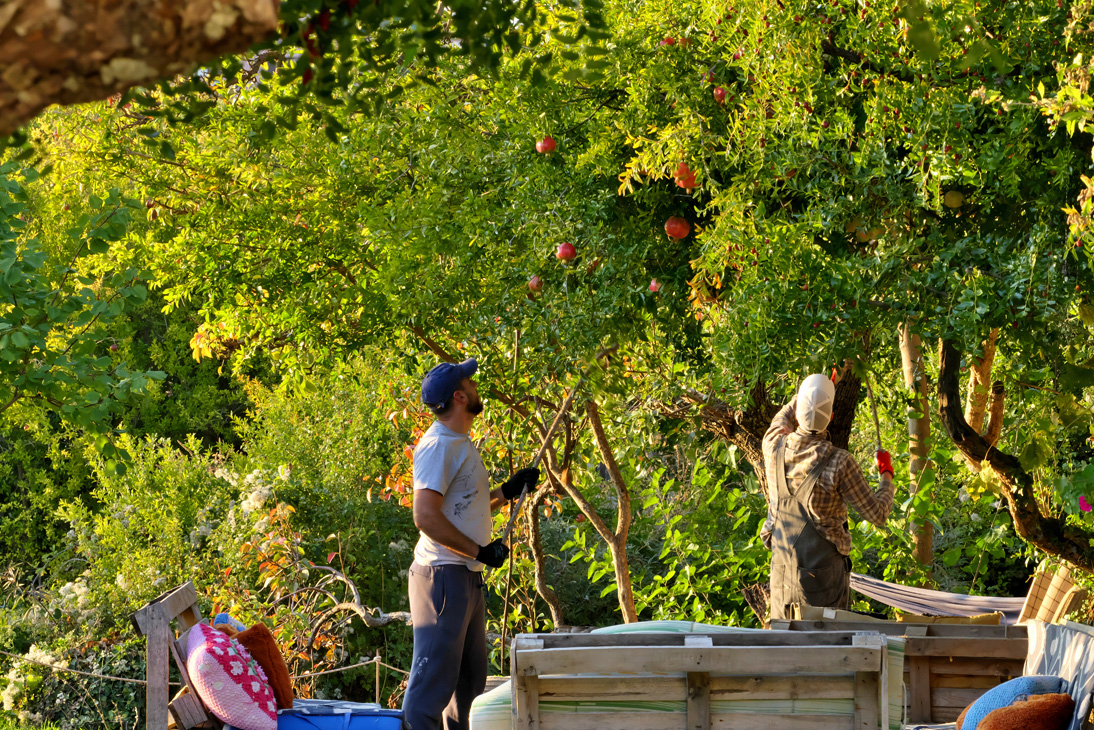 2208_Montenegro_20251014_172552_P1035107