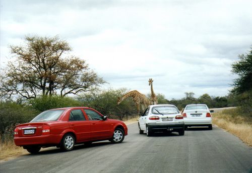 1008_Suedafrika_2003_10_26_181408_IMGP1922scan.jpg